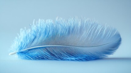 A delicate blue feather resting on a soft surface, showcasing its texture and color.