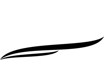 illustration of an bird
