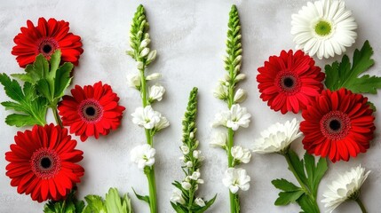 Flat lay of red and white gerbera daisies and snapdragons arranged on a gray background.