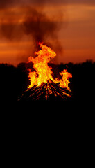 A burning earth in the middle of a field. Suitable for environmental crisis concepts, silhouette, with white tones