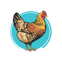 Vibrant Chicken Illustration with Turquoise Background
