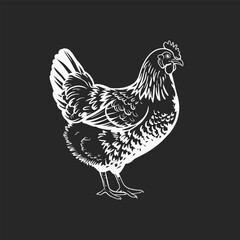 Detailed Black and White Chicken Illustration