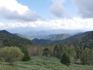 奥まで広がる山と木の景色