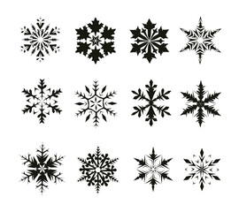 Winter Snowflakes Design Collection in Black Color