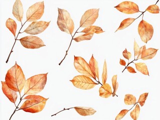 Fototapeta premium Autumn Leaves Decorate a White Background with Branches and Seasonal Warmth.