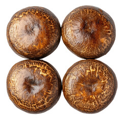 Fresh whole porcini mushrooms, cut out. Perfect for culinary and commercial design.