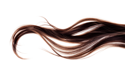 High-Quality PNG of brown hair Isolated on White Background – High Resolution