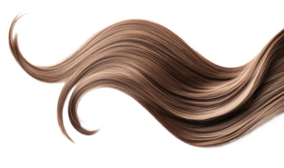 Brown hair isolated on white background. Long wavy ponytail