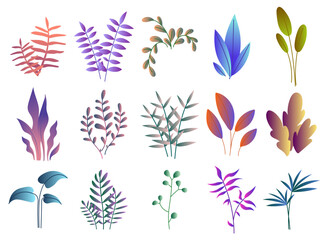 Gradient leaves set. Violet, blue and green foliage and branches. Fantasy and imagination. Botanical tropical and exotic plants. Flat vector collection