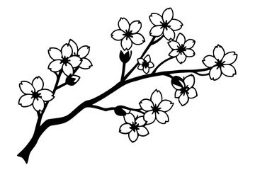 branch of cherry tree