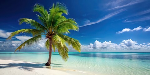 A tropical palm tree standing alone on white sand beach with crystal clear turquoise water , isolated