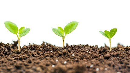 Naklejka premium White background with a significant dirt pile of soil standing out, Pure earthy substance in a simple setting, Dirt pile showing natural texture and color of soil, Earthy element on plain white