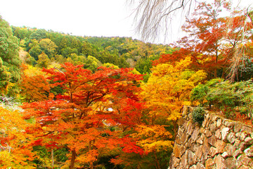 Obraz premium 正暦寺の紅葉（奈良県・菩提山町）