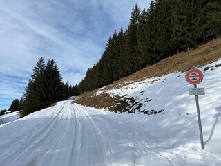 Winter snow idyll along the rural alpine road above the Swiss tourist sports-recreational winter resort of Arosa - Canton of Grisons, Switzerland (Kanton Graubünden, Schweiz)