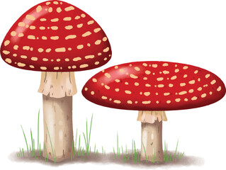 Red fly agaric mushroom in a forest surrounded by moss and grass in autumn