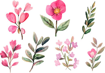 pattern with pink tulips