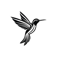 hummingbird vector illustration