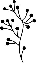 Hand drawn Flowers and Plants