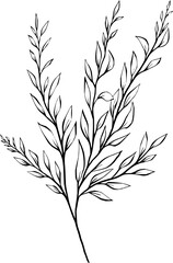 Obraz premium Hand drawn Flowers and plants