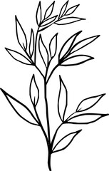 Hand drawn Flowers and plants