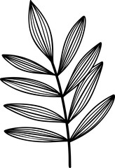 Hand drawn Flowers and plants