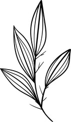 Hand drawn Flowers and plants