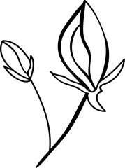 Hand drawn flowers and plants