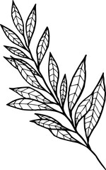 Hand drawn flowers and plants