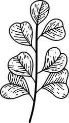 Hand drawn flowers and plants