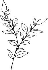 Hand drawn flowers and plants