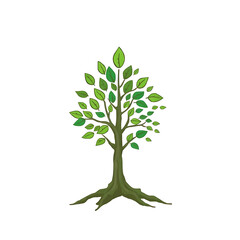 Obraz premium “Illustration Highlighting Deforestation” – A simple design showing a tree half full of leaves and half cut down, symbolizing deforestation and its impact, on a white background. 