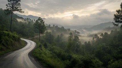 Scenic forest road surrounded by lush trees and natural light, perfect for travel, nature, or adventure themes.