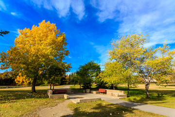 A park with a bench and a fire pit