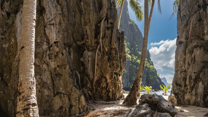 Tall coconut palms grow on a sandy beach between steep cliffs. Dry fallen leaves on the sand. Through the opening you can see the ocean, boats, blue sky, clouds. Philippines. Palawan. Bacuit bay