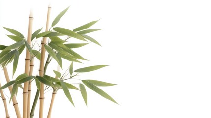 Obraz premium A serene arrangement of bamboo stalks with lush green leaves, creating a calming and natural aesthetic.