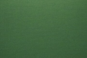 a close up of a green cloth with a white stripe