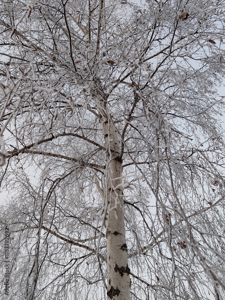 Poster a tree covered in snow with a few leaves still on it