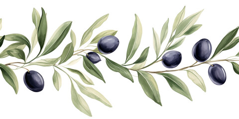 Elegant illustration of an olive branch with detailed leaves and olives
