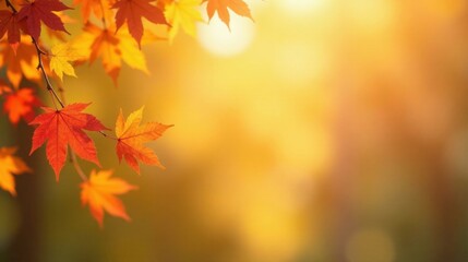 Autumnal Foliage Illuminates a Serene Golden Backdrop, Perfect for Seasonal Designs and Fall-Themed Projects