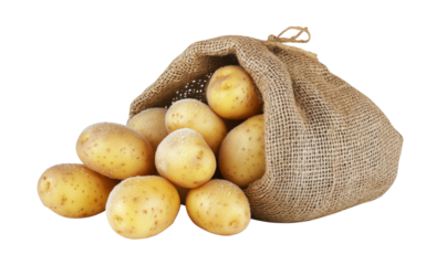 potato in the sack isolated on  transparent png