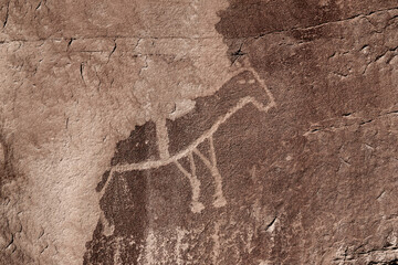 Crow Canyon Petroglyphs, located  near Bloomfield, New Mexico