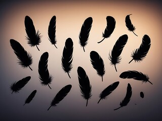 Obraz premium feathers on black background