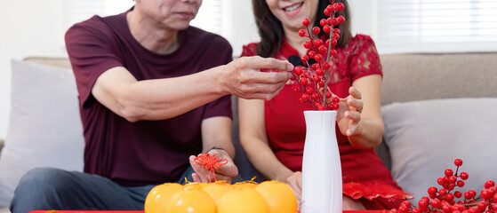 Elderly chinese couple celebrating chinese new year home decor festive atmosphere joyful moments