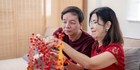 Elderly chinese couple celebrating new year together at home joyful moments intimate environment heartwarming concept