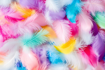 Pastel Feathers, A Colorful Delight, Softly Arranged in a Vibrant Display