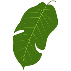 Green Tropical Leaves Illustration. Exotic Plant and Flower Design. Flat Vector Element