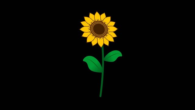 Animated sunflower tree grows and blooms. Beautiful sunflower grow motion animation with 4k Alpha channel or transparent background. sunflower growing from the ground up and swaying in the wind.