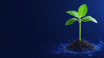 Cutting-Edge Agricultural Research: Young Sprouts in Organic Technology - Digital Banner with Copy Space