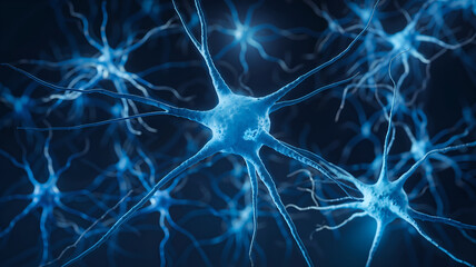 A close-up, high-resolution image showcasing blue neurons against a dark background. This stunning visual highlights the intricate structure of neural cells, perfect for discussions on neuroscience