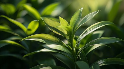 Close-Up Nature Photography Captivating Macro of Young Green Plants with a Lush Green Background for Awareness